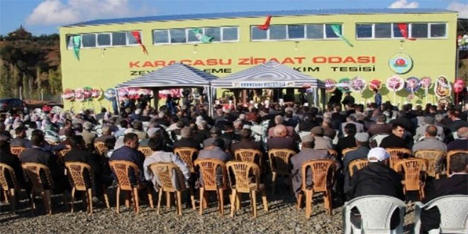 Karacasu ya Bir Milyon 250 Bin Liralık Entegre Zeytin Tesisi