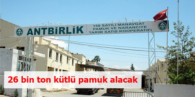 26 bin ton kütlü pamuk alacak