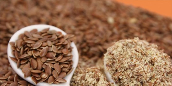 Kavak ta Sertifikalı Tohum Dağıtımı