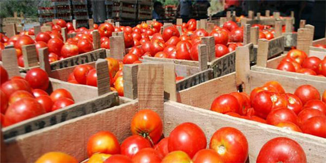 Toptancı Hali nde Üretim Sezonu Açılışı Yapıldı
