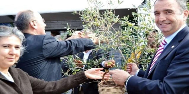 Ayvalık ta Uluslararası Hasat Günleri