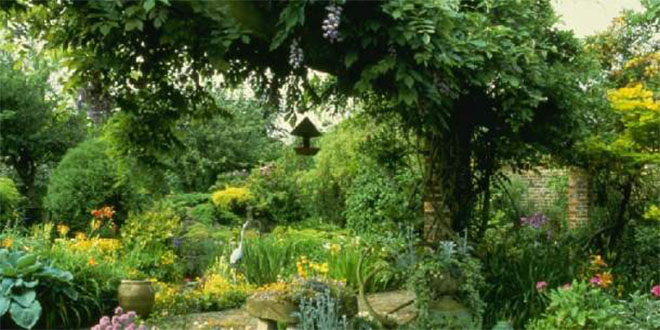 Öğrencilere Bitki Eğitimi Verildi