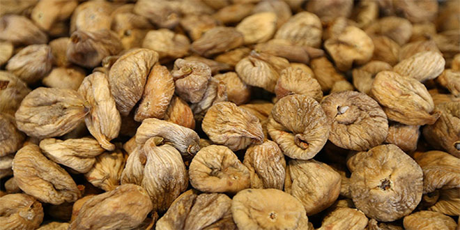 İlk Parti Kuru İncir Avrupa ya Yola Çıktı