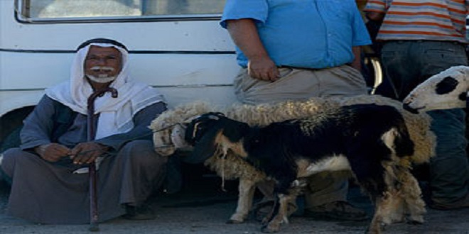 Filistin de Kurban Bayramı