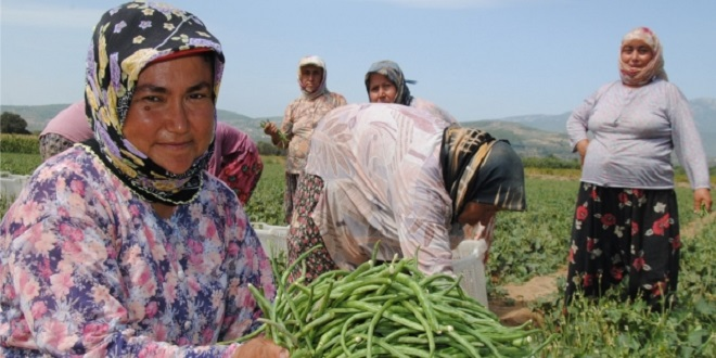 Elimin Hamuru Demediler Patron Olmaya Soyundular