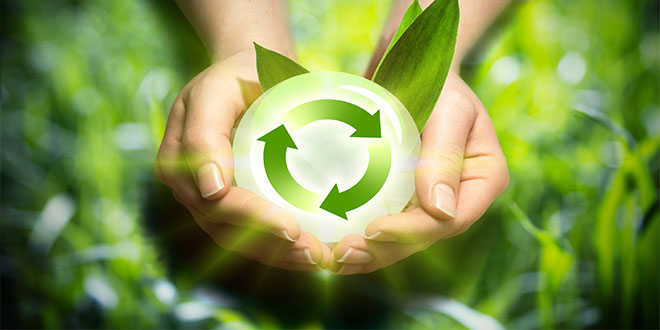 Yenilenebilir Enerji Kaynağı Biyokütle Nedir