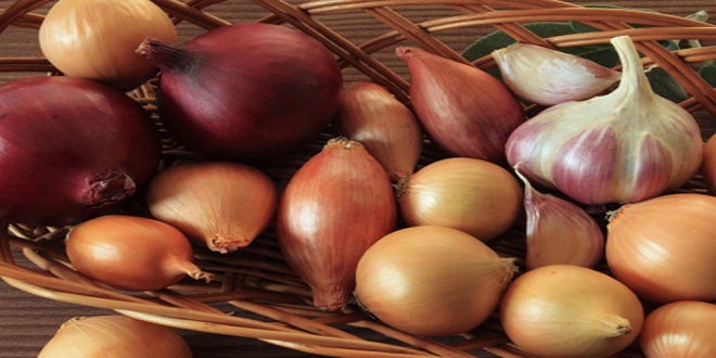 Rekolte Düştü Soğan Hem Cebi Hem Gözü Yakacak