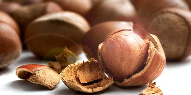 Kilosu 15 lira olan fındık değerini buldu