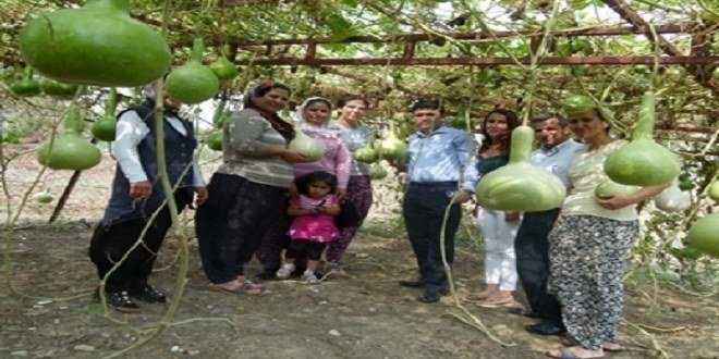 Karaisalı da Su Kabağı Süs Kabağı Projesi Başladı