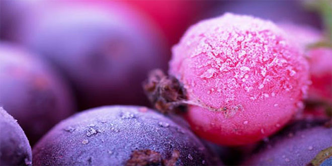 Kışlık sebze meyve fiyatı yüzde 40 artacak