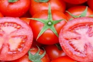 3 Domatexpo Fuarına Doğru