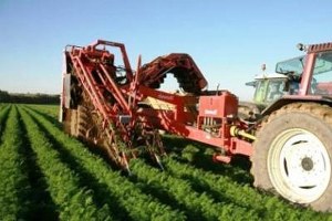 Tarım Sigortası Üreticinin Yanında