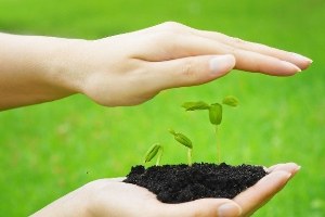 Bergama da Tohum Semineri Yapıldı