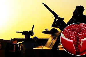 Meyve Ticaretine Başlayan IŞİD Zehirli Nar mı Satıyor