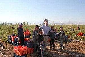 Mevsimlik İşçiler Kayıt Altına Alınsın
