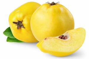 Denizli Ruslara Ayvayı Sevdirdi