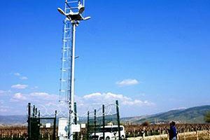 Tarbil Çukurova da Tanıtılacak