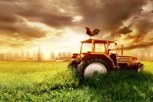 Afetler Çiftçilerin Tarım Sigortasına İlgisini Artırdı