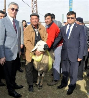 Aksaray da 143 Kişiye 632 Adet Koç Dağıtıldı