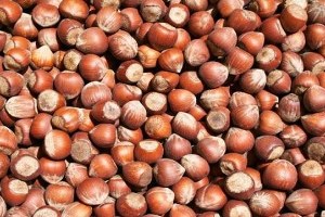 Fiskobirlik Fındık Alımlarında 5 Bin Tonu Aştı