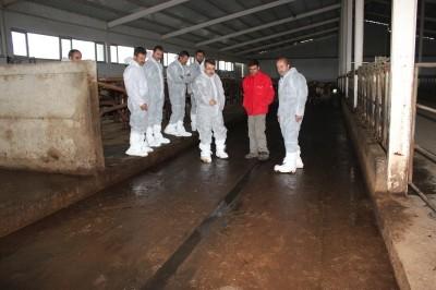 Muş ta Süt Sığırcılığı Eğitimi Verildi