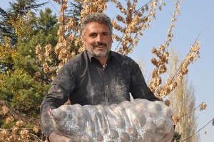 Patateste Verim Düştü Fiyat Yükseldi