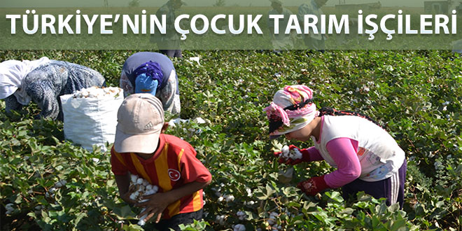 Türkiye nin Utanç Kaynağı Çocuk İşçiler