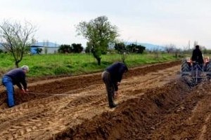 ÇKS Kayıtları 31 Aralık ta Sona Erecek