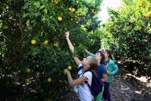 Çukurova Üniversitesi nde Yabancı Konukları Ağırladılar