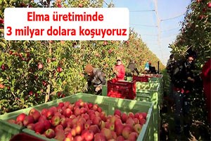 Elma üretiminde 3 milyar dolara koşuyoruz