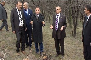 ODTÜ de Ağaç Gerginliği