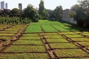 İstanbulu un Tarihi Bostanları İmara Açıldı