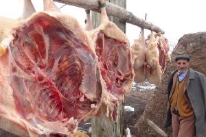 Kars ta Kaz Kesimi Başladı