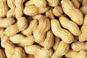 Alternatif Ürün Olarak Yetiştirilen Yer Fıstığı Üreticinin Yüzünü Güldürdü