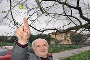 Bursa da Kasım Ayında Çıkan Erik Şaşırtıyor