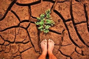 Kuraklık İçin Sigorta Çalışması