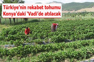 Türkiye nin rekabet tohumu Konya daki Vadi de atılacak