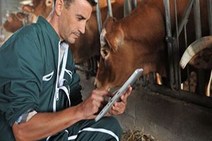 Veterinerlere Uzmanlık Eğitimi