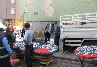 Erenler de Balık Tezgahları Denetlendi