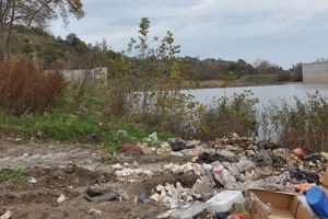 Devlet eliyle zehirli pirinç