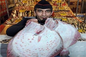 100 Bin Kalkan Yavrusunu Denize Bırakıyorlar