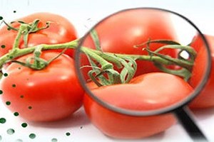 Gıda Güvenliği ve Güvenilirliği İçin Tek Yetkili Bakanlık Şart