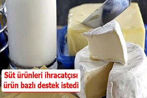 Süt ürünleri ihracatçısı ürün bazlı destek istedi