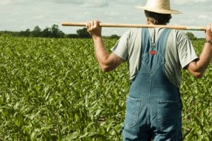 İhsangazi de ÇKS Başvuruları