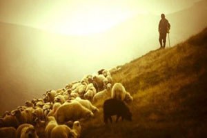 Tarsus ta Çobanlık Kursunu Bitirenlere Sertifikaları Verildi