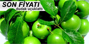 Can eriğin kilosu 300 TL