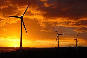 Türkiye nin rüzgarı enerjiye dönüştü