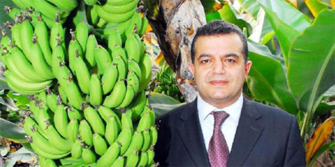 Alanya da Muz Üretim Alanı Azalıyor