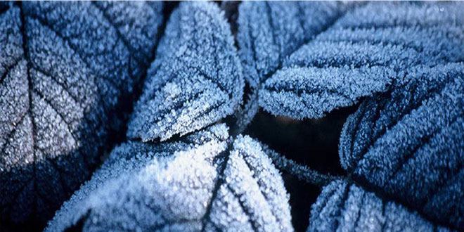 Malatya da Orta Kuvvette Don Uyarısı