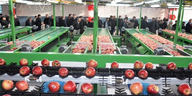 Elma Üretimi Modern Tekniklerle Yapılmalı
